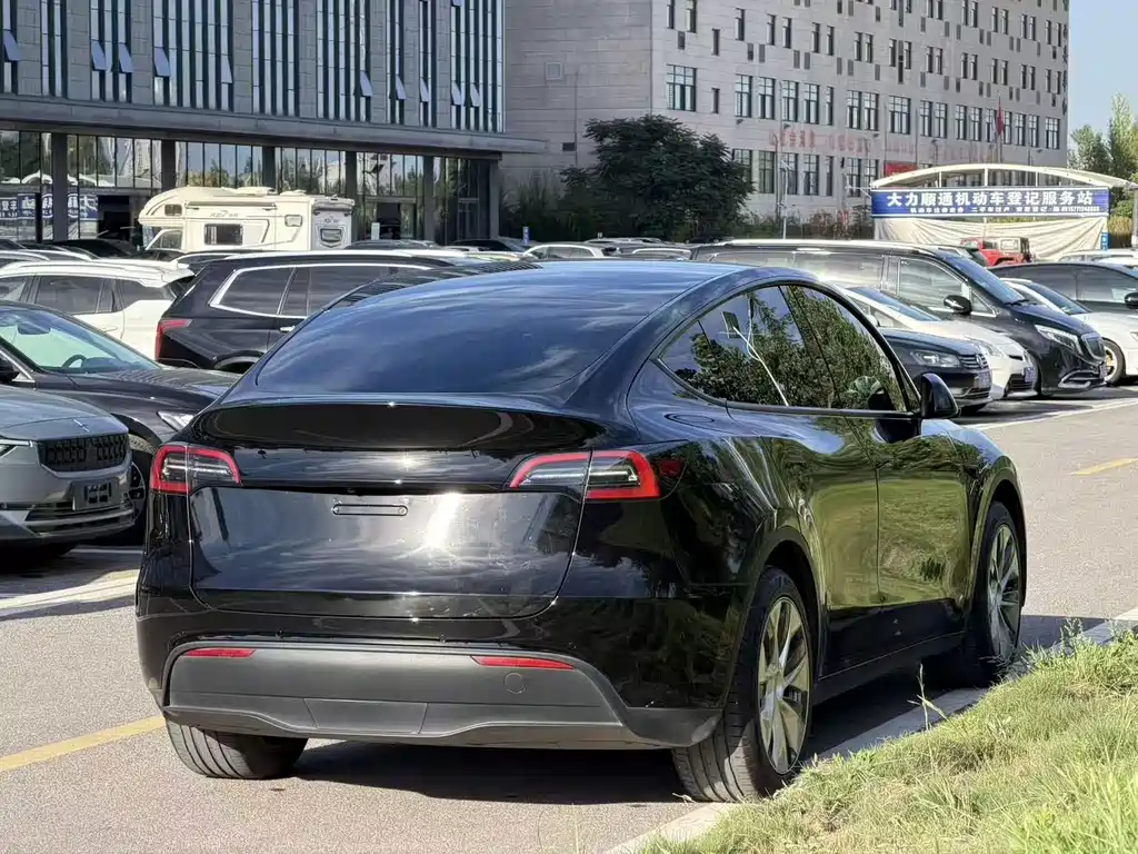 Tesla Model Y — миниатюра 6