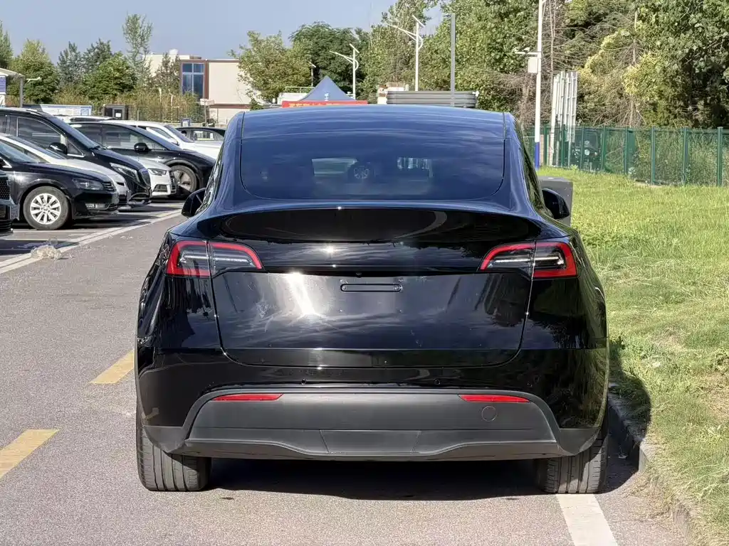 Tesla Model Y — миниатюра 8