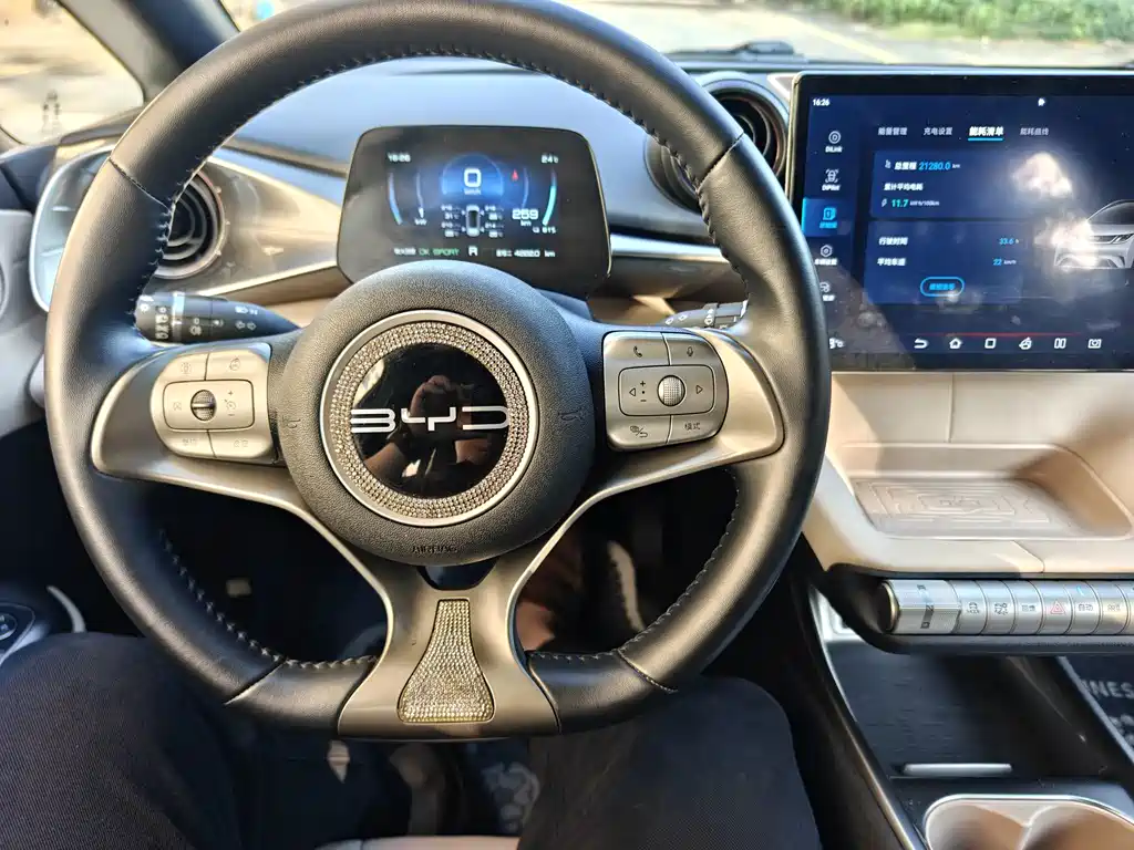 BYD Dolphin — миниатюра 12