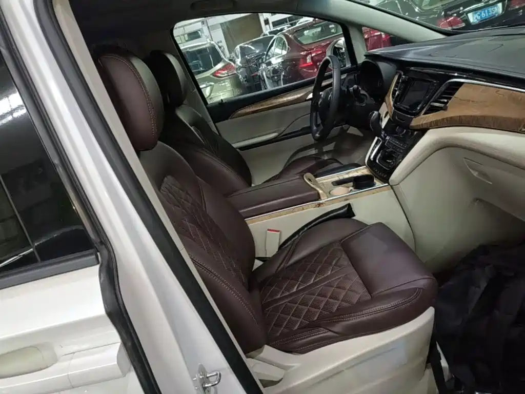 Buick GL8 — миниатюра 25