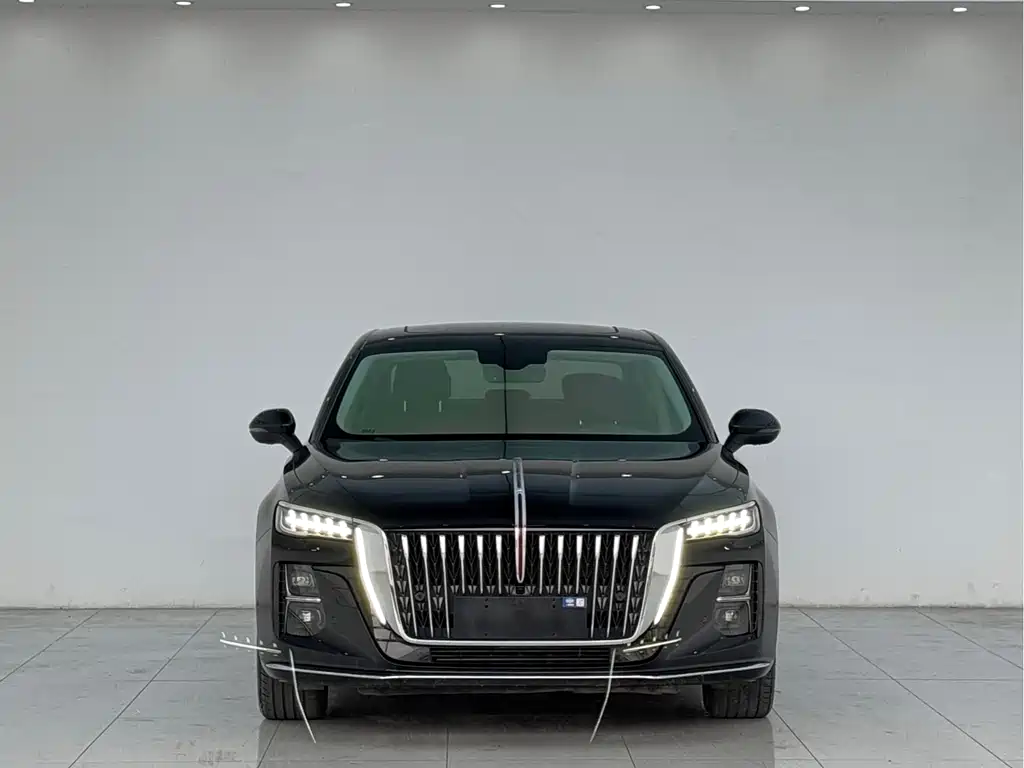 Hongqi Hongqi H5 — миниатюра 3