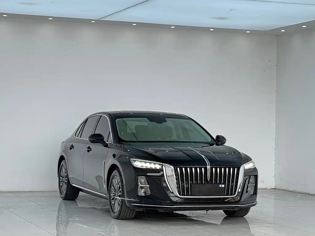 Hongqi Hongqi H5 — миниатюра 4
