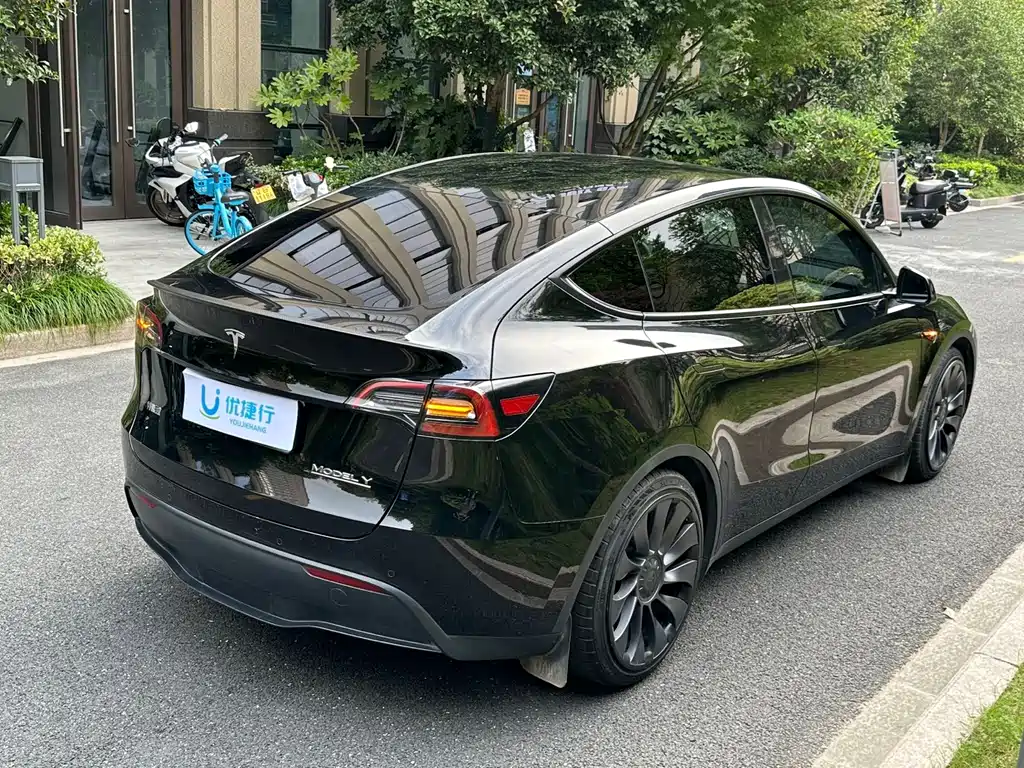 Tesla Model Y — миниатюра 4