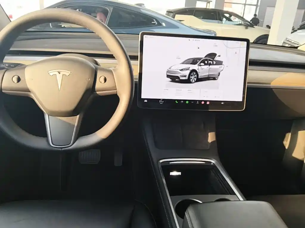 Tesla Model Y — миниатюра 10