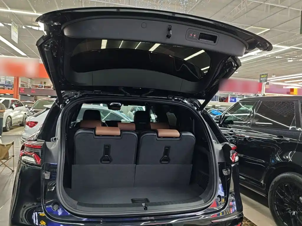 BYD Tang New Energy — миниатюра 19