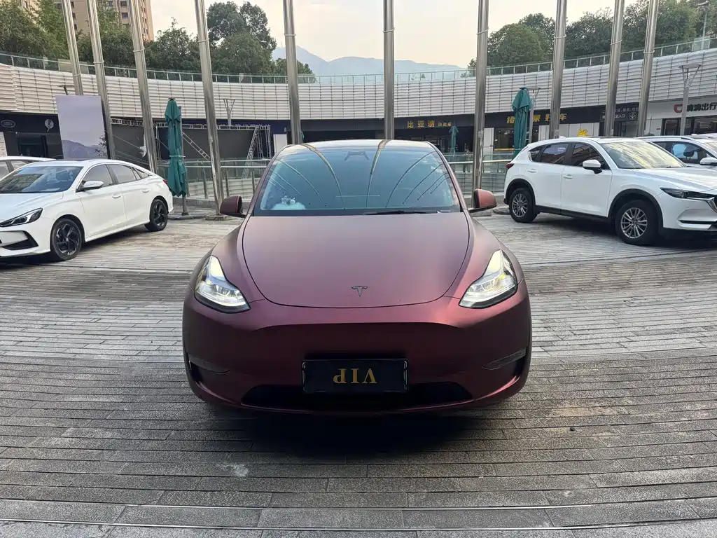 Tesla Model Y — миниатюра 2