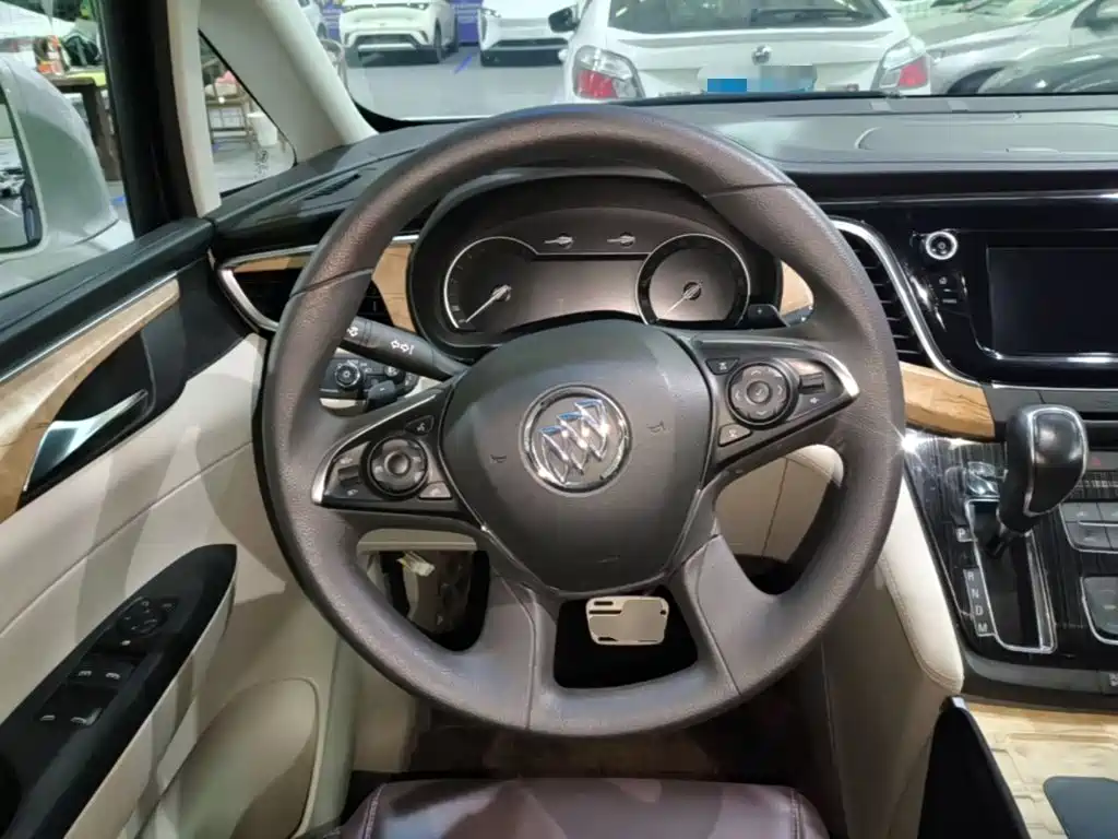 Buick GL8 — миниатюра 11