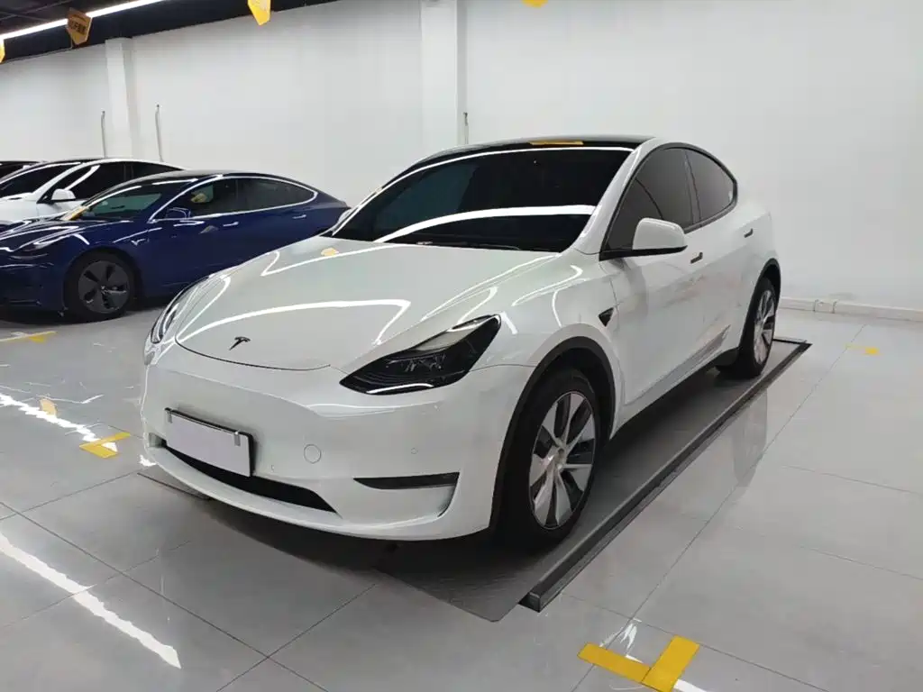 Tesla Model Y — миниатюра 2