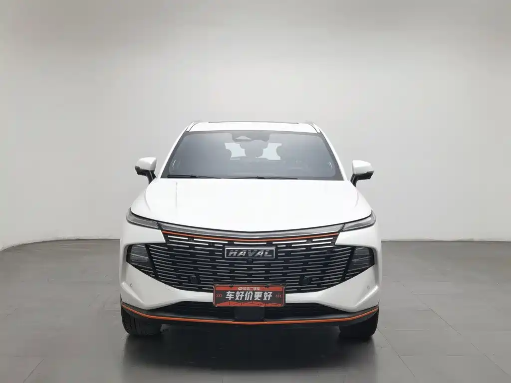 Haval Shenshou — миниатюра 3