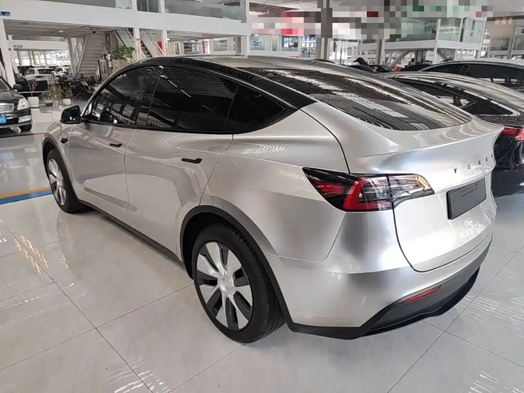 Tesla Model Y — миниатюра 5