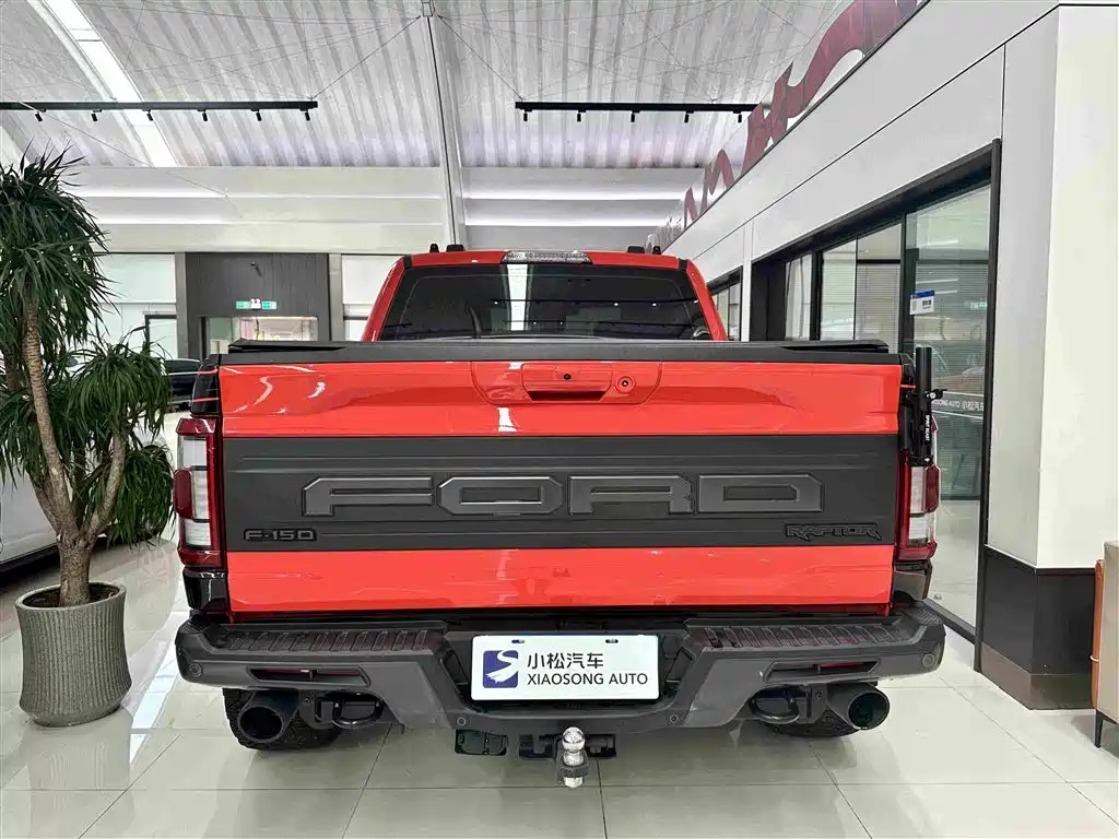Ford F-150 Raptor — миниатюра 18