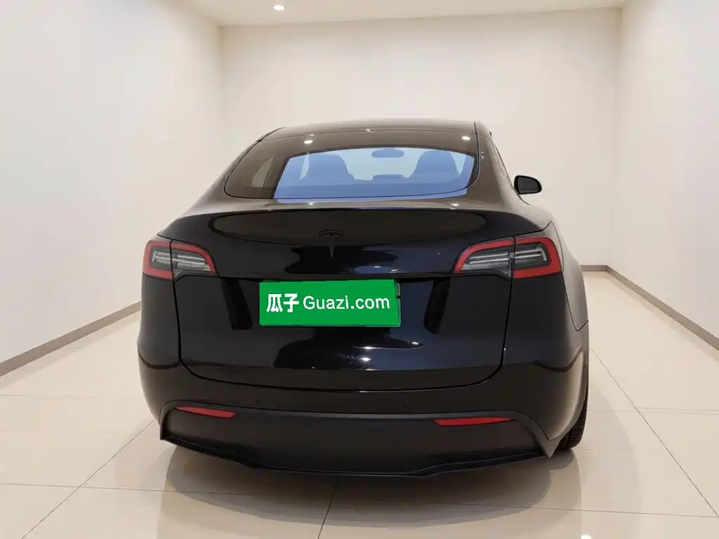 Tesla Model Y — миниатюра 5