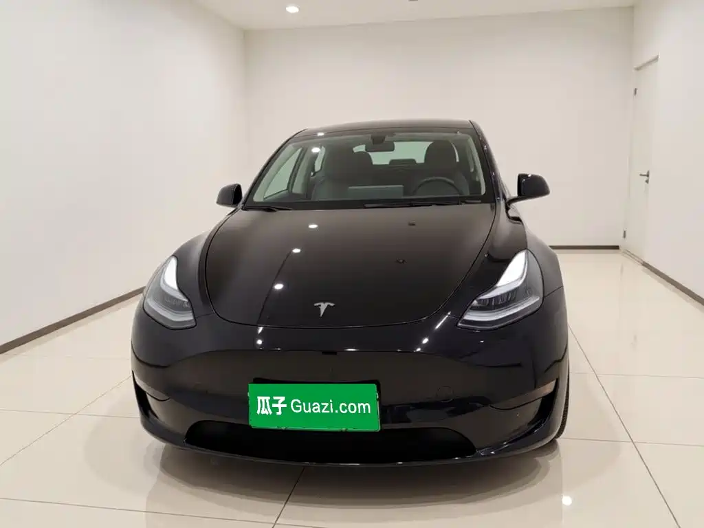 Tesla Model Y — миниатюра 2