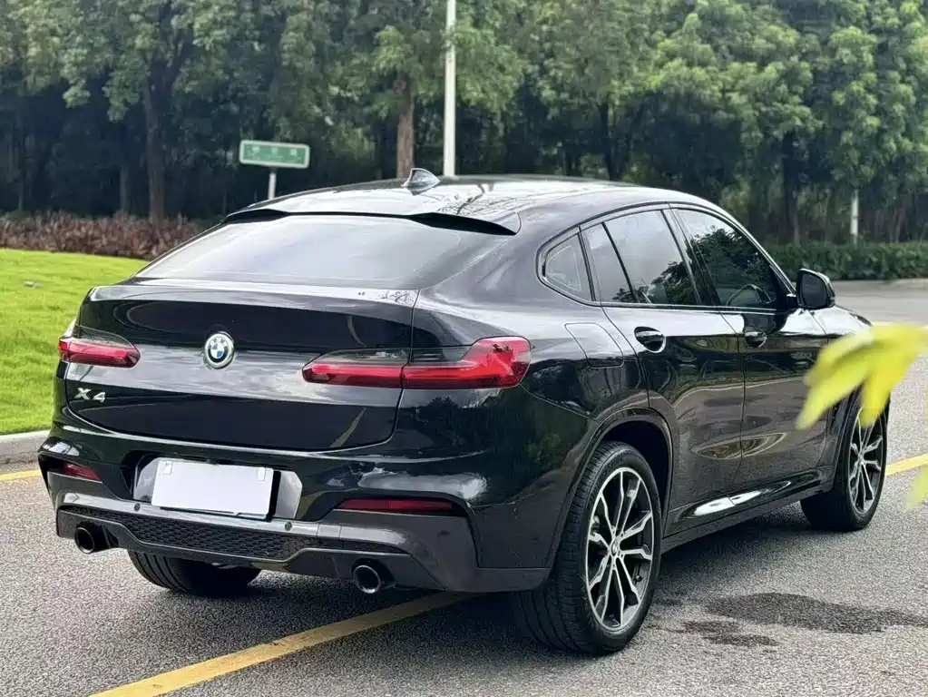 BMW X4 — миниатюра 4