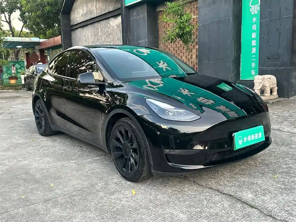 Tesla Model Y — миниатюра 11