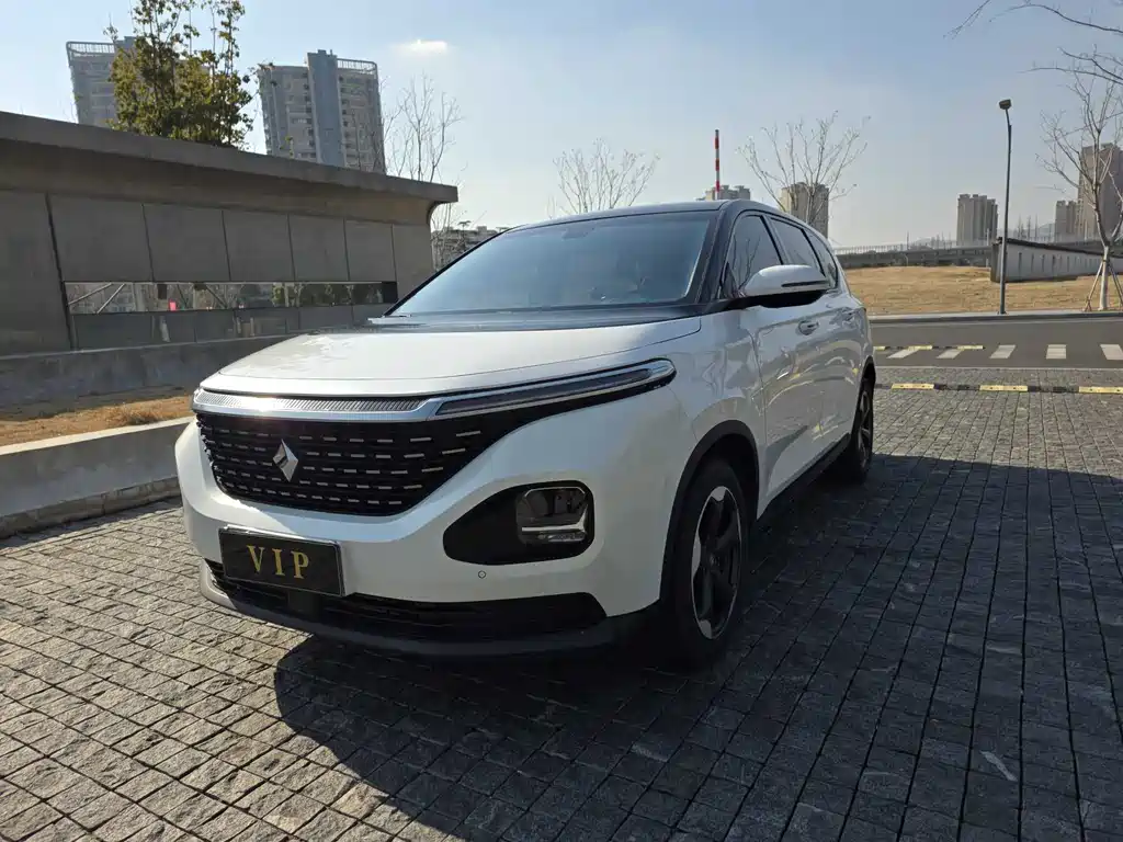 BAOJUN RM 5