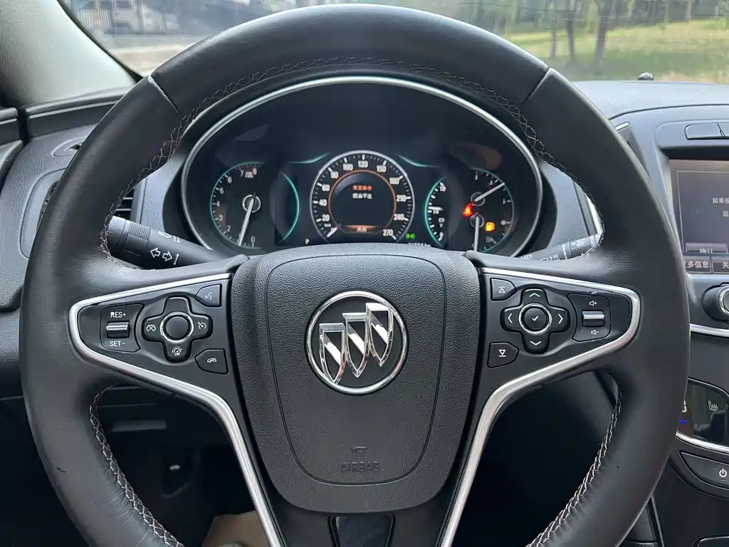 Buick Regal — миниатюра 12