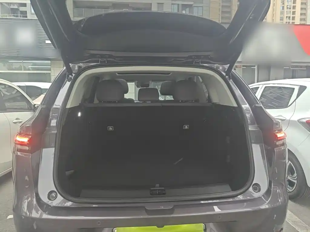 Leapmotor Leapmotor C10 — миниатюра 19