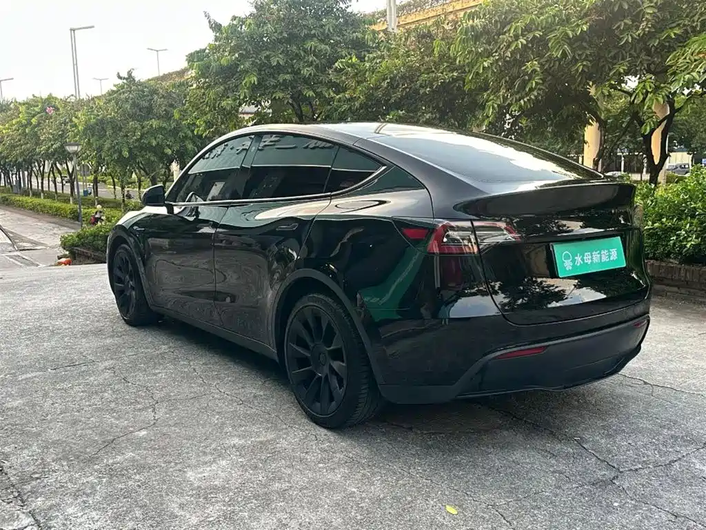 Tesla Model Y — миниатюра 6