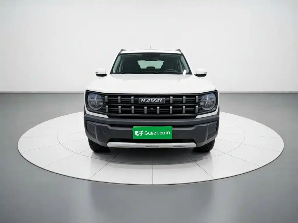 Haval Cool Dog — миниатюра 23
