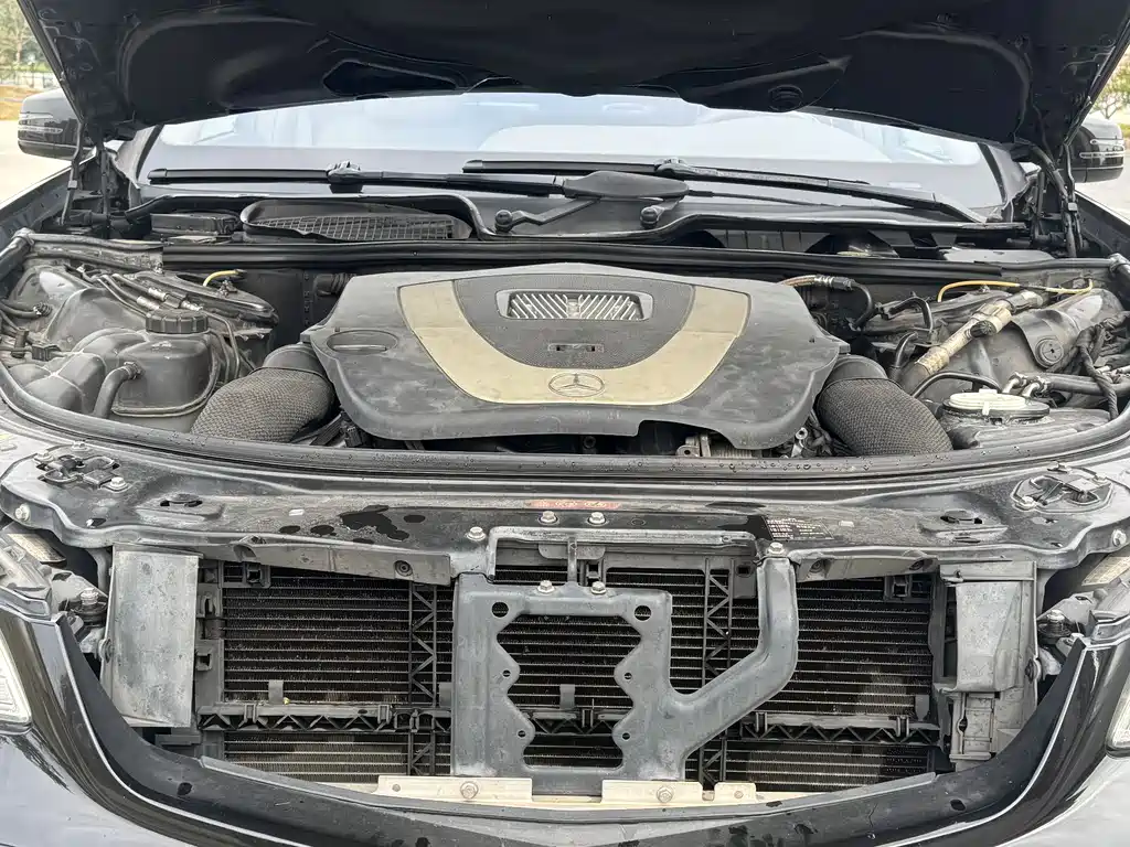 Mercedes-Benz S-Class S 2010 S 350 L Luxury