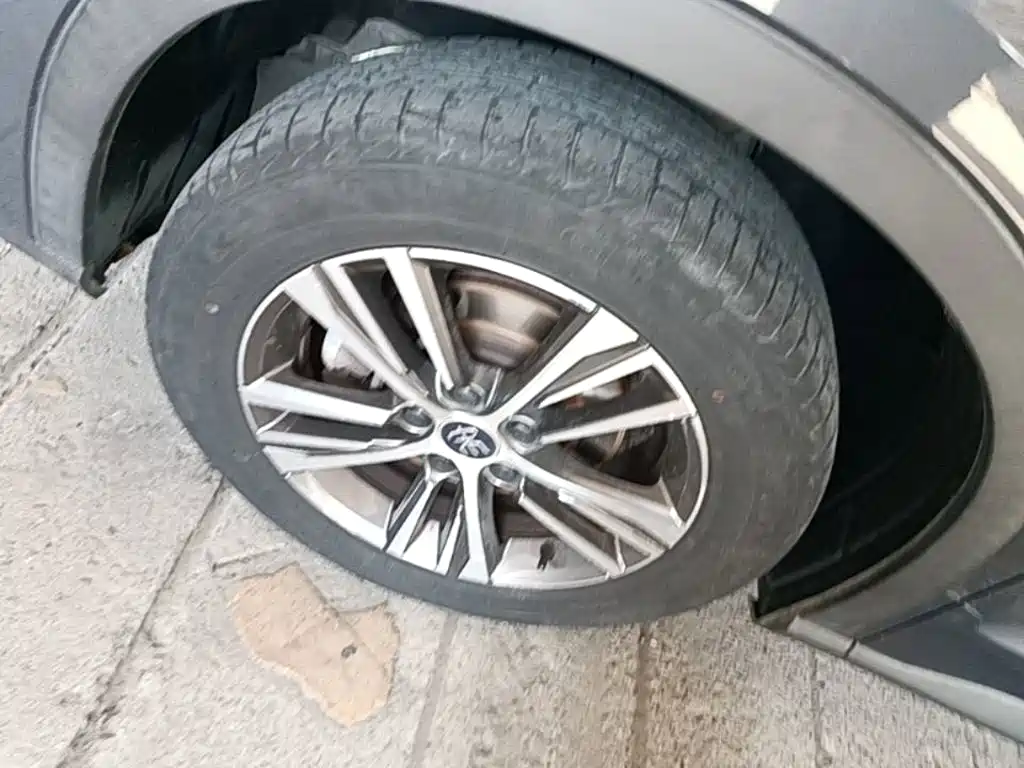 BYD Pro — миниатюра 23
