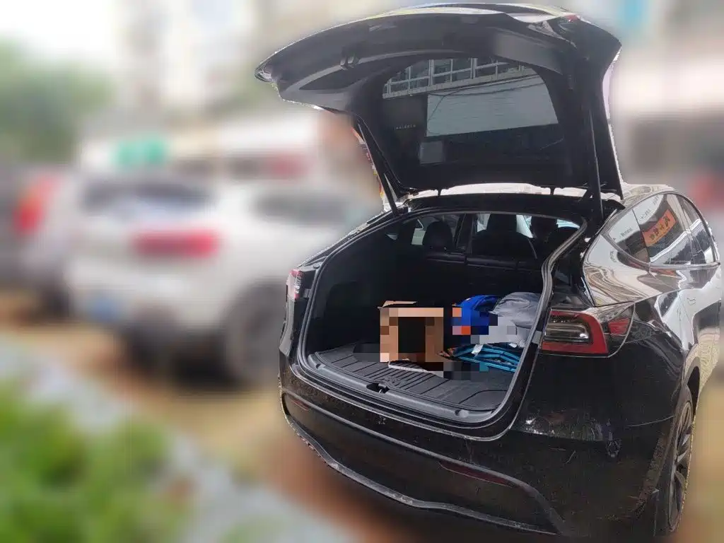 Tesla Model Y — миниатюра 15