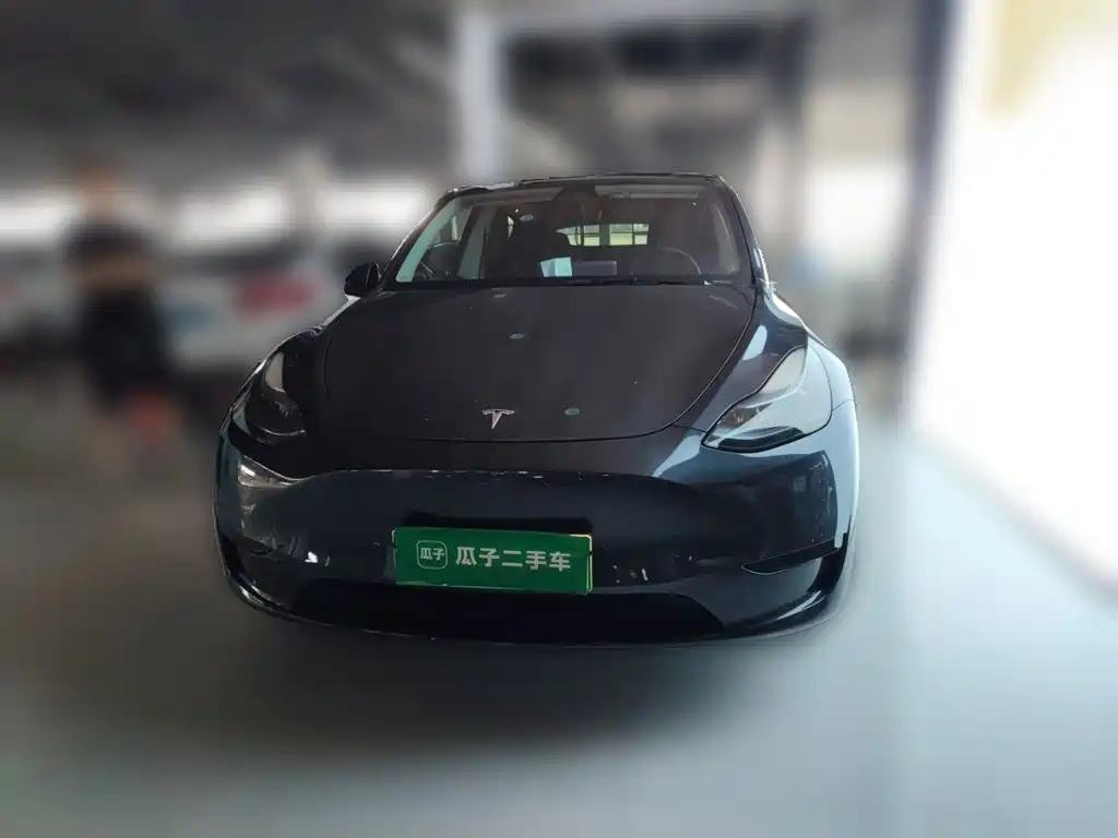 Tesla Model Y — миниатюра 3