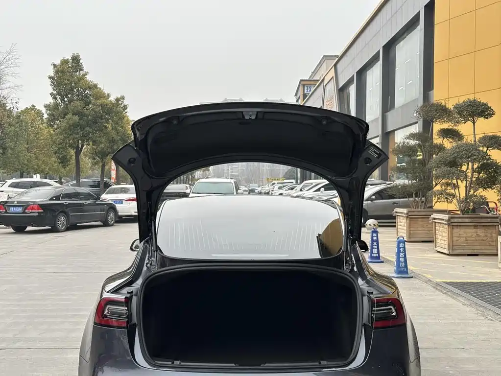 Tesla Model 3 — миниатюра 23