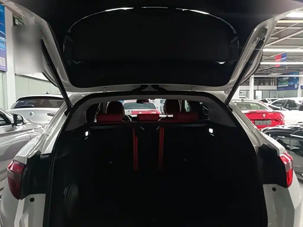 Alfa Romeo Stelvio — миниатюра 19