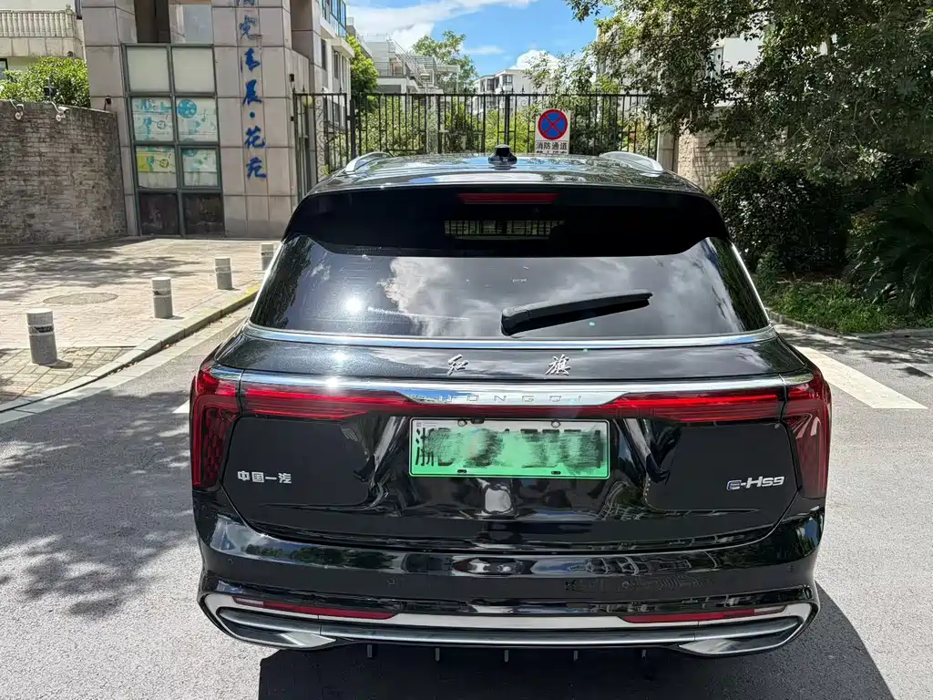 Hongqi Hongqi E-HS9 — миниатюра 8
