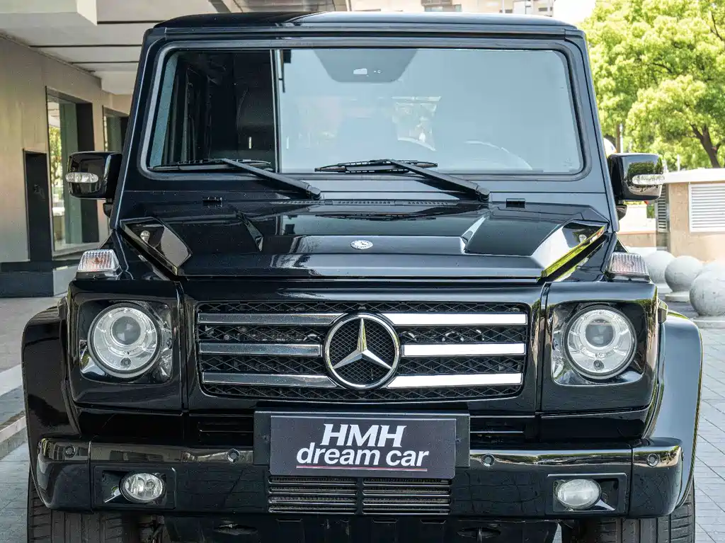 Mercedes-Benz G-Class A MG G AMG 2009 AMG G 55