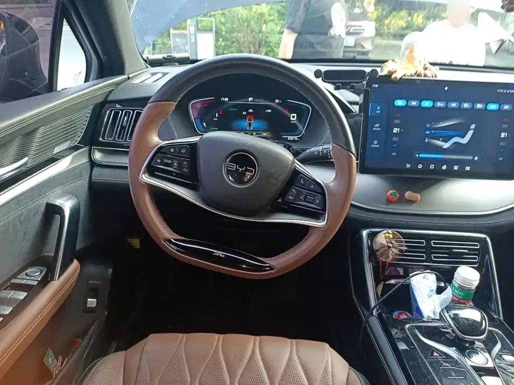 BYD Tang New Energy — миниатюра 13