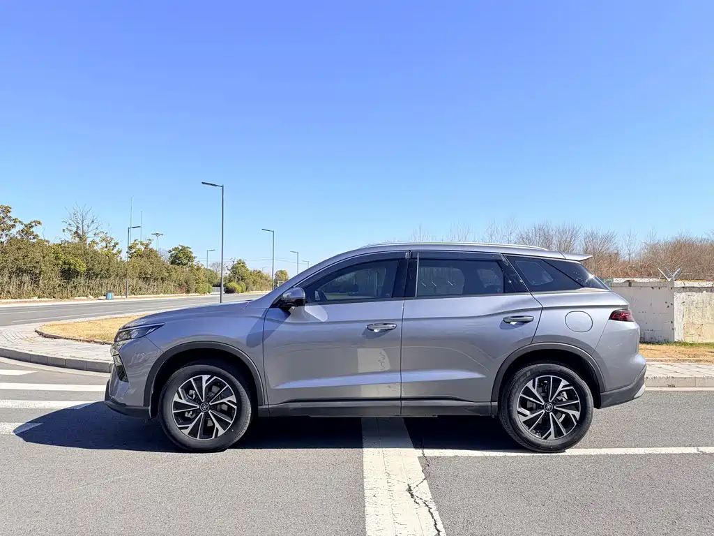 BYD SONGJIANG NEW ENERGY