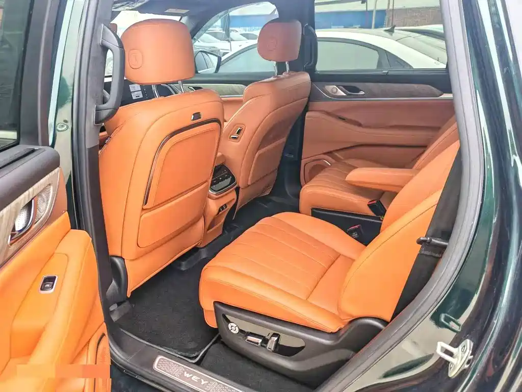 WEI PAI WEI BRAND BLUE MOUNTAIN