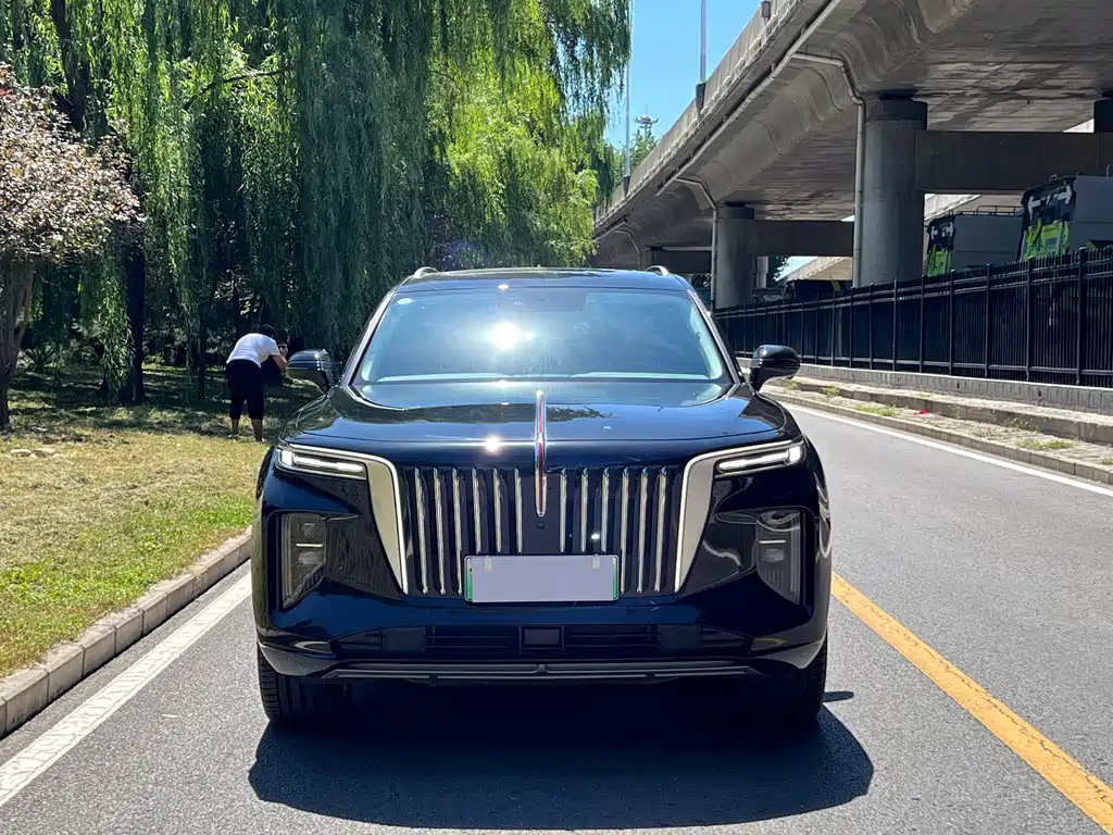 Hongqi Hongqi E-HS9 — миниатюра 2