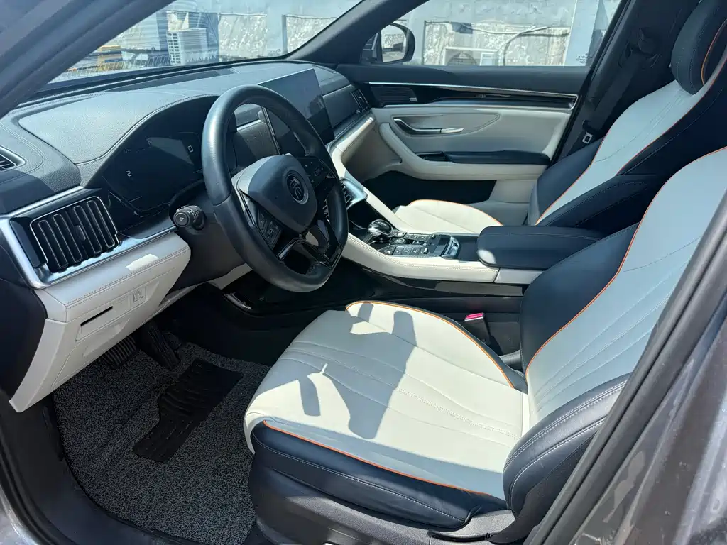 BYD PLUS New Energy — миниатюра 9