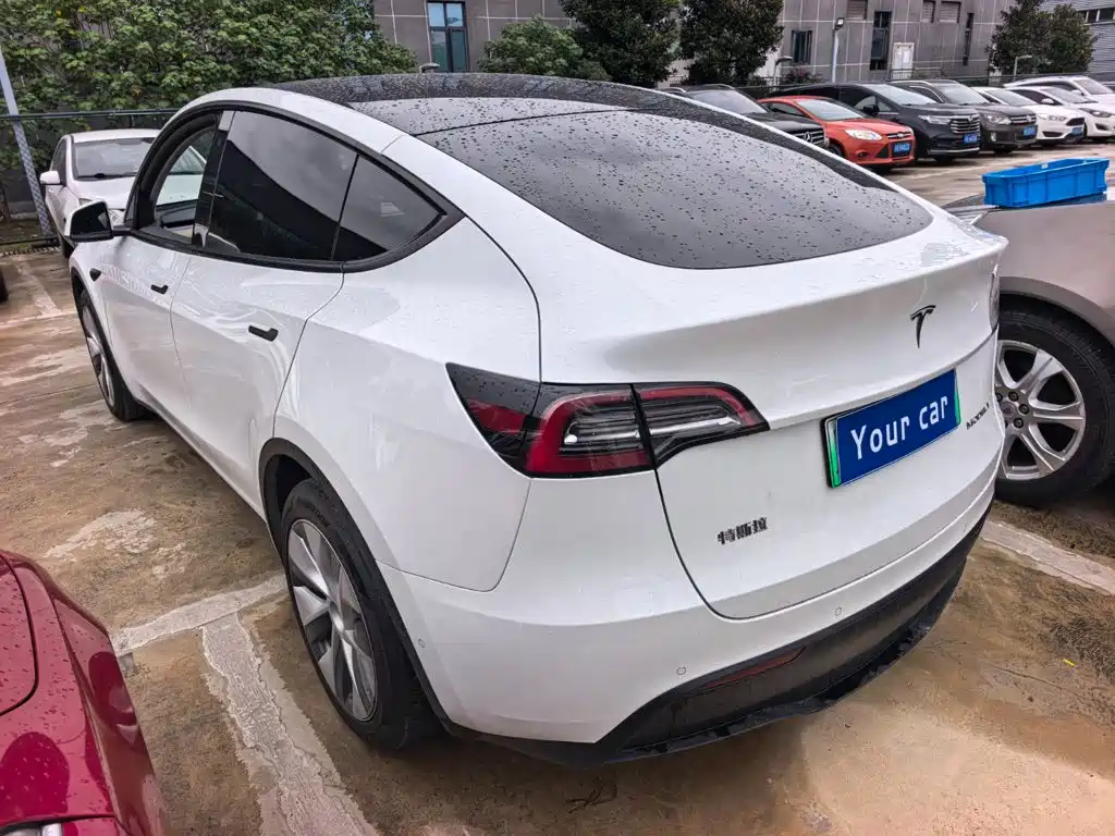 Tesla Model Y — миниатюра 4