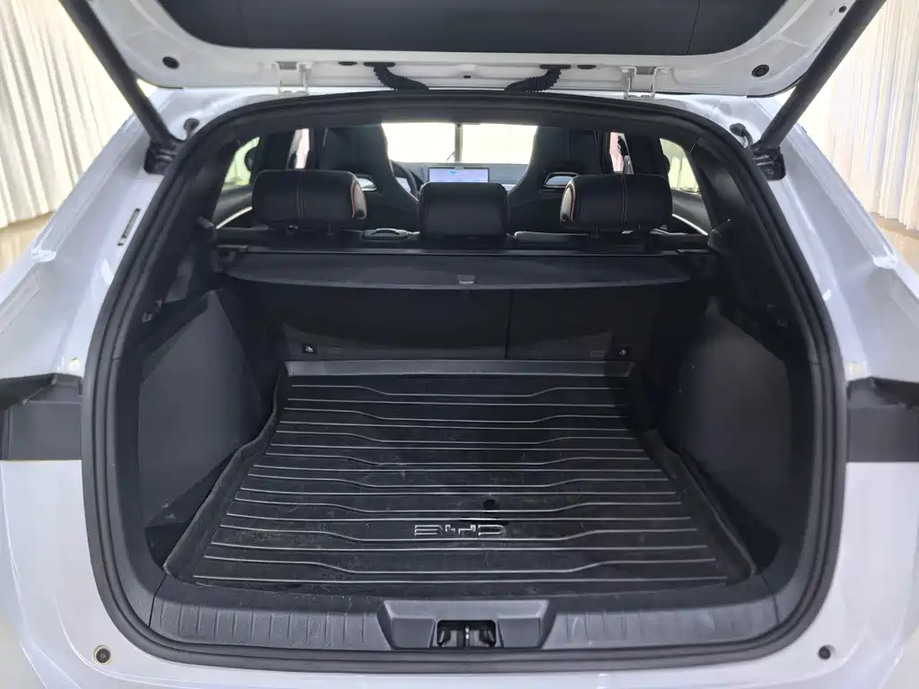 BYD PLUS New Energy — миниатюра 14