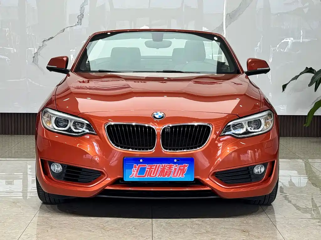 BMW 2 Series (Import) — миниатюра 5