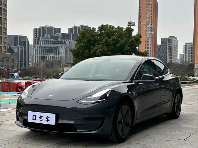 TESLA MODEL 3 2020
