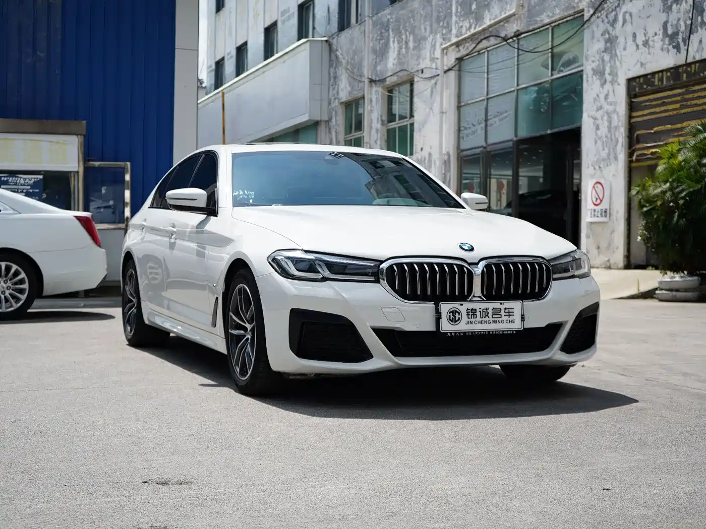 BMW 5 Series Import