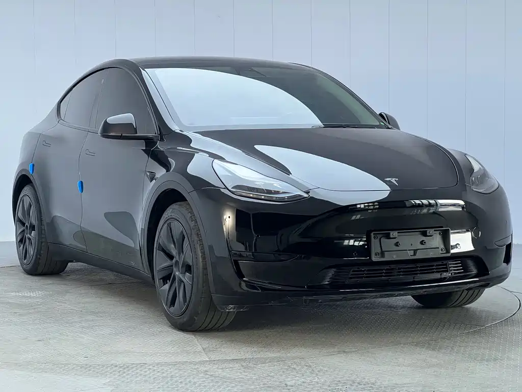 Tesla Model Y — миниатюра 3