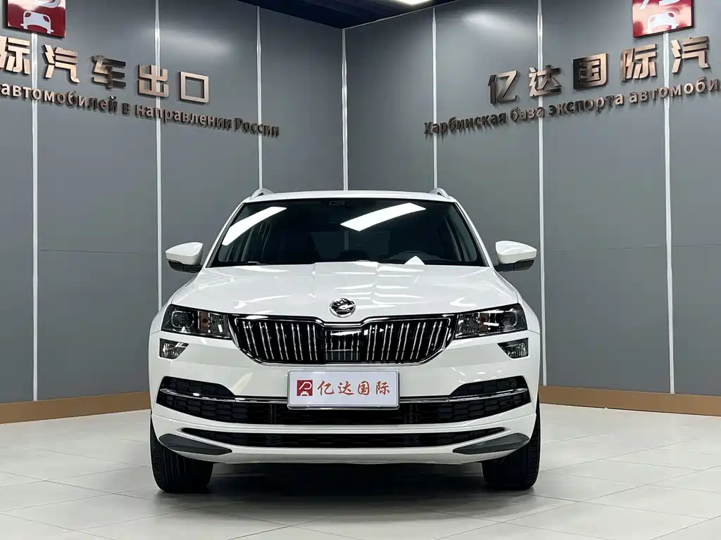 Skoda Karoq TSI280 Luxury Enjoy Edition, фото 2