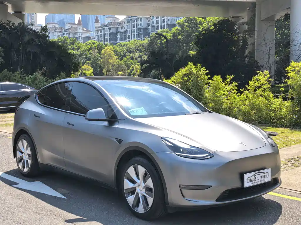 Tesla Model Y — миниатюра 3