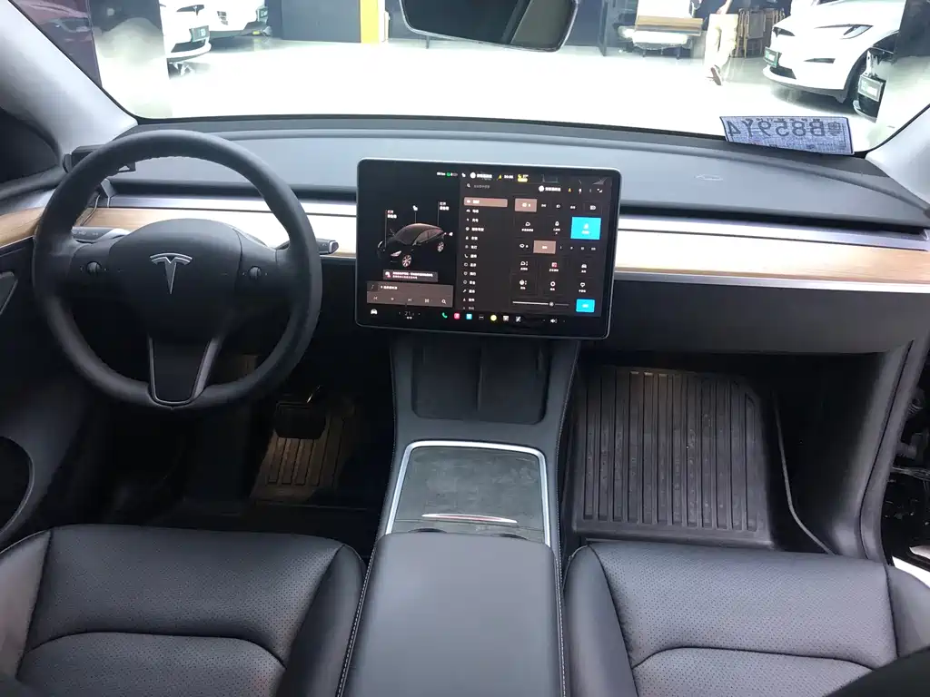 Tesla Model Y — миниатюра 14