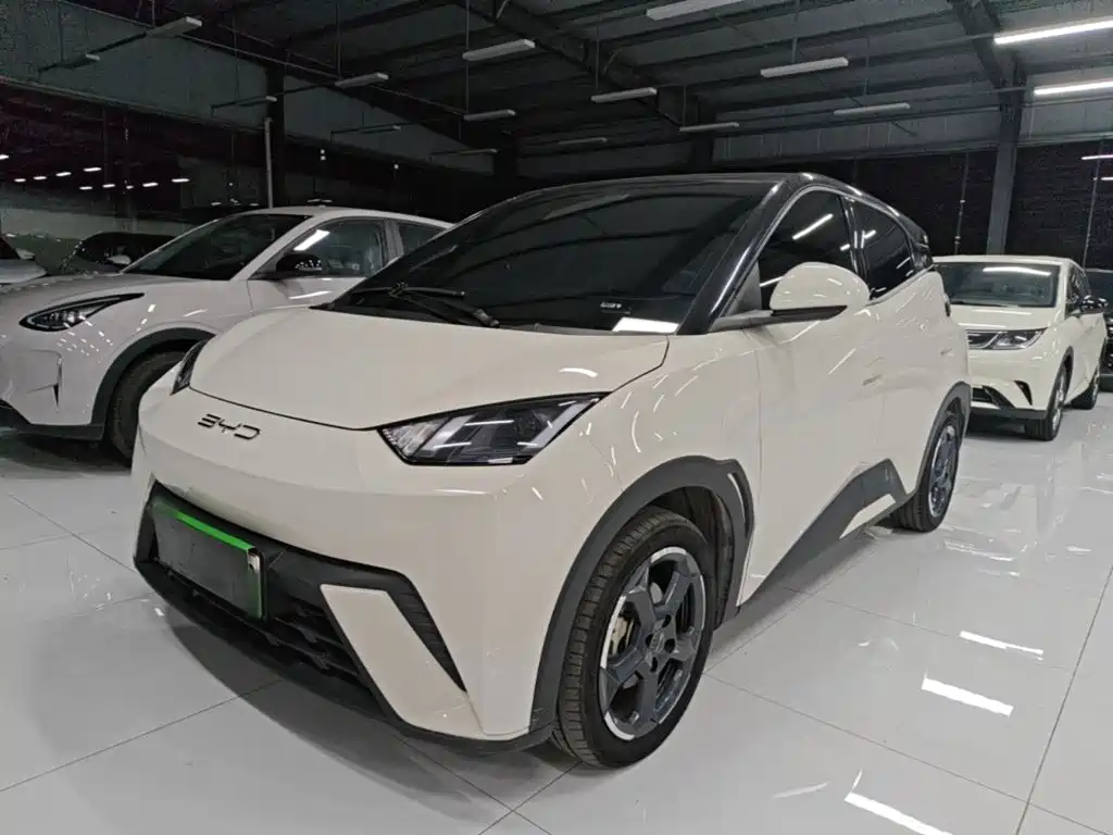 BYD Seagull