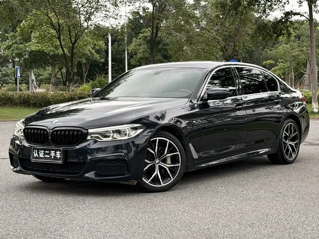 BMW 5 Series 2020 530Li Premium Type M Sport Package