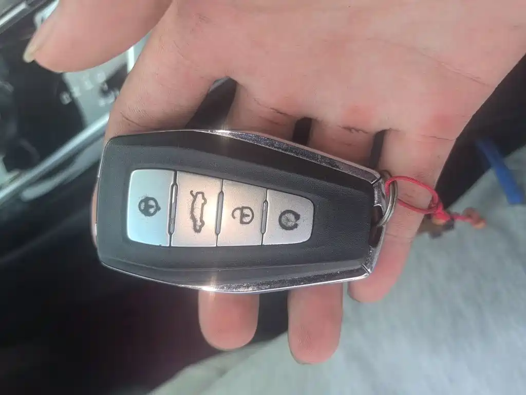 Geely Borui Hybrid — миниатюра 12