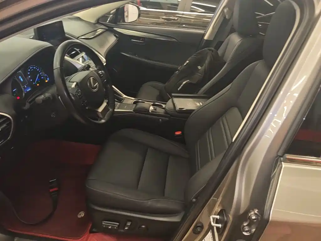 Lexus NX — миниатюра 15